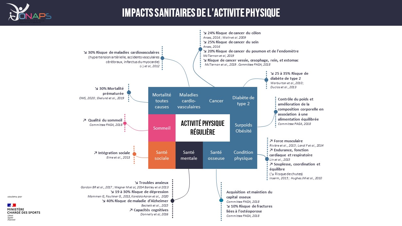 Infographie de l'ONAPS : les effets d'une activité physique régulière sur douze dimensions de la santé. Description détaillée sous l'image.